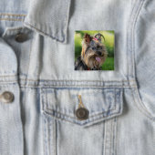 Badge Carré 5 Cm Bouton Chien mignon 7 (En situation)