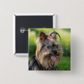 Badge Carré 5 Cm Bouton Chien mignon 7 (Devant & derrière)