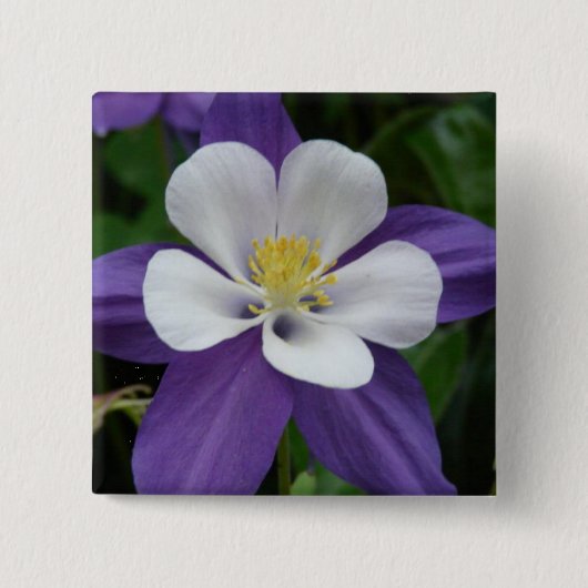 Badge Carré 5 Cm Bouton Colonne violet et blanc (Devant)