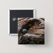 Badge Carré 5 Cm Bouton Courants (Devant & derrière)