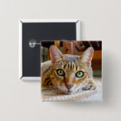 Badge Carré 5 Cm Bouton Cute Chat (Devant & derrière)