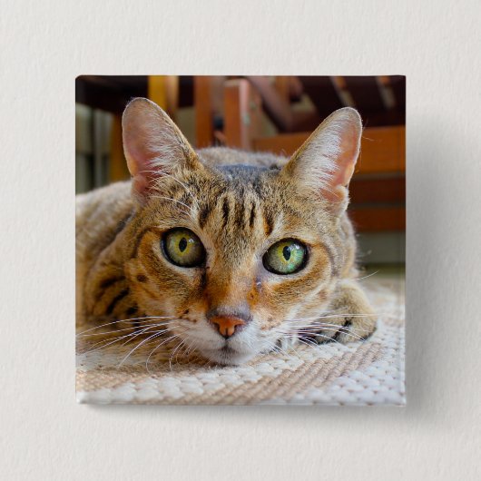 Badge Carré 5 Cm Bouton Cute Chat (Devant)