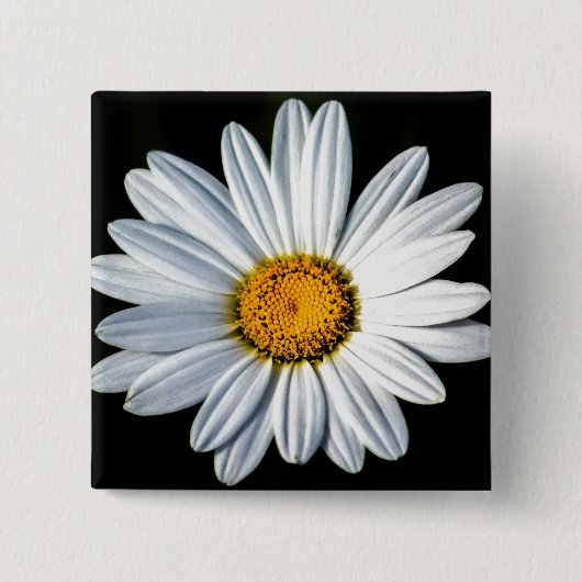 Badge Carré 5 Cm Bouton Daisy Mae (Devant)