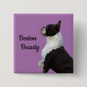 Badge Carré 5 Cm Bouton de beauté de Boston Terrier Boston Beauty P