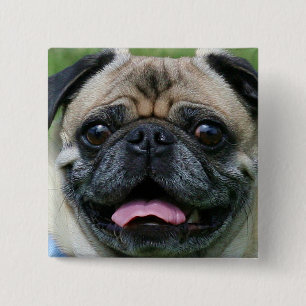 Badge Carré 5 Cm Bouton de carlin