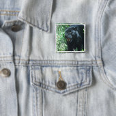 Badge Carré 5 Cm Bouton de chat de panthère   noire (En situation)
