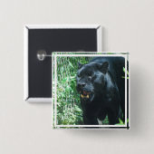 Badge Carré 5 Cm Bouton de chat de panthère   noire (Devant & derrière)