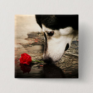 Badge Carré 5 Cm Bouton de chien et de rose rouge