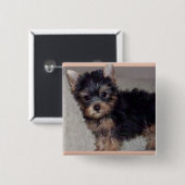 Badge Carré 5 Cm Bouton de chiot de Yorkshire Terrier (Devant & derrière)