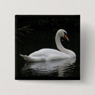 Badge Carré 5 Cm Bouton de cygne blanc gracieux