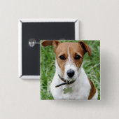 Badge Carré 5 Cm Bouton de Jack Russell Terrier (Devant & derrière)