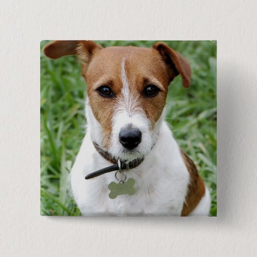 Badge Carré 5 Cm Bouton de Jack Russell Terrier (Devant)