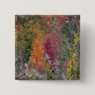 Badge Carré 5 Cm Bouton de la palette de l'automne