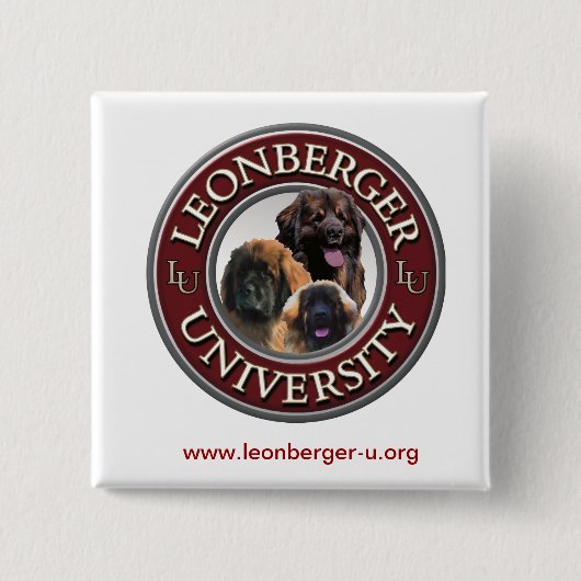 Badge Carré 5 Cm Bouton de Leonberger U (Devant)