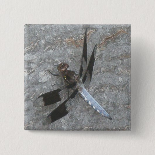 Badge Carré 5 Cm Bouton de libellule bleu (Devant)