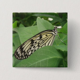 Badge Carré 5 Cm Bouton de macro Papier papillon