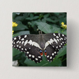 Badge Carré 5 Cm Bouton de papillon de chaux et fleurs