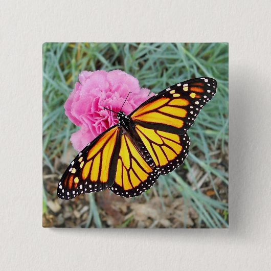 Badge Carré 5 Cm Bouton de papillon de monarque (Devant)