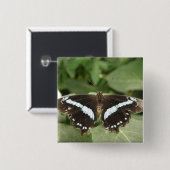 Badge Carré 5 Cm Bouton de papillon tropical noir et blanc (Devant & derrière)
