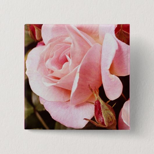 Badge Carré 5 Cm Bouton de rose de rose (Devant)