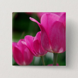 Badge Carré 5 Cm Bouton de tulipes