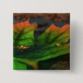 Badge Carré 5 Cm Bouton d'eau large (Devant)