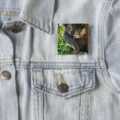 Badge Carré 5 Cm Bouton décontracté de koala (En situation)