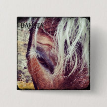 Bouton d'édition de luxe du Dakota