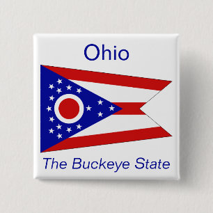 Badge Carré 5 Cm Bouton Drapeau Ohioan