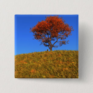 Badge Carré 5 Cm Bouton Effacer le jour d'automne