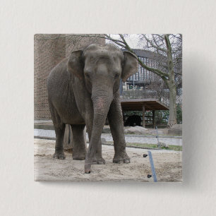 Badge Carré 5 Cm Bouton ÉLÉPHANT