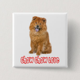 Badge Carré 5 Cm Bouton épinglé Chien Chien Chow Chow