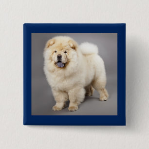 Badge Carré 5 Cm Bouton épinglé Chien Chow Chow Mignon