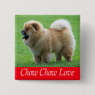 Badge Carré 5 Cm Bouton épinglé Chien Chow Chow Mignon