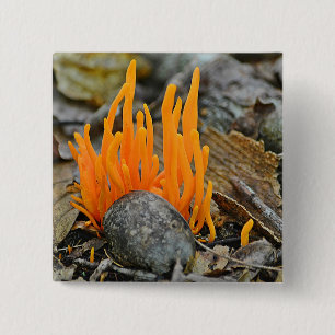 Badge Carré 5 Cm Bouton Funky Fungi