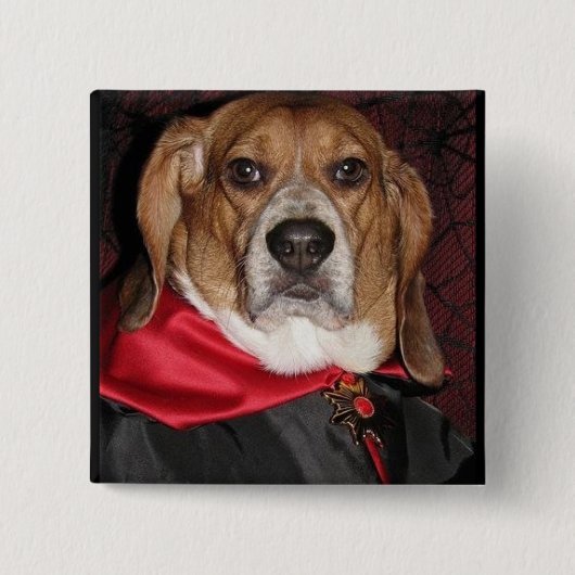 Badge Carré 5 Cm Bouton gothique de Dogula de beagle (Devant)