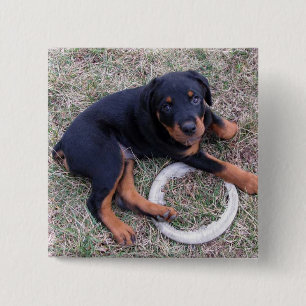 Badge Carré 5 Cm Bouton "Innocent" de Heidi Rottweiler