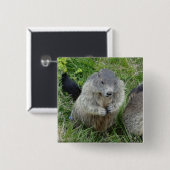 Badge Carré 5 Cm Bouton Marmot (Devant & derrière)
