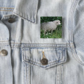 Badge Carré 5 Cm Bouton mignon gourmand en mouton (En situation)