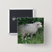 Badge Carré 5 Cm Bouton mignon gourmand en mouton (Devant & derrière)