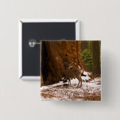 Badge Carré 5 Cm Bouton Mule Deer (Devant & derrière)