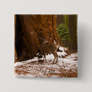 Badge Carré 5 Cm Bouton Mule Deer