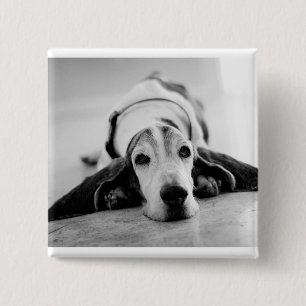 Badge Carré 5 Cm Bouton noir et blanc de Basset Hound
