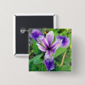 Badge Carré 5 Cm Bouton pourpre d'iris (Devant & derrière)