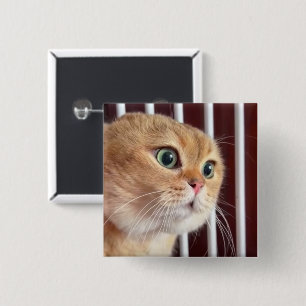 Badge Carré 5 Cm Bouton Talking Cats Meme Pin