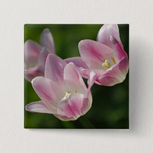 Badge Carré 5 Cm Bouton trois tulipes roses