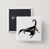 Badge Carré 5 Cm Boutons Skorpion (Devant & derrière)