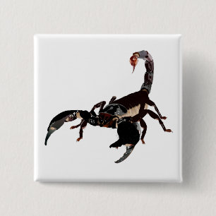 Badge Carré 5 Cm Boutons Skorpion
