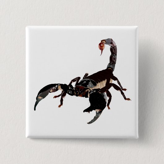 Badge Carré 5 Cm Boutons Skorpion (Devant)