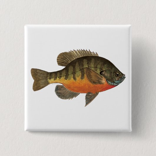Badge Carré 5 Cm Brise de Bluegill (Devant)